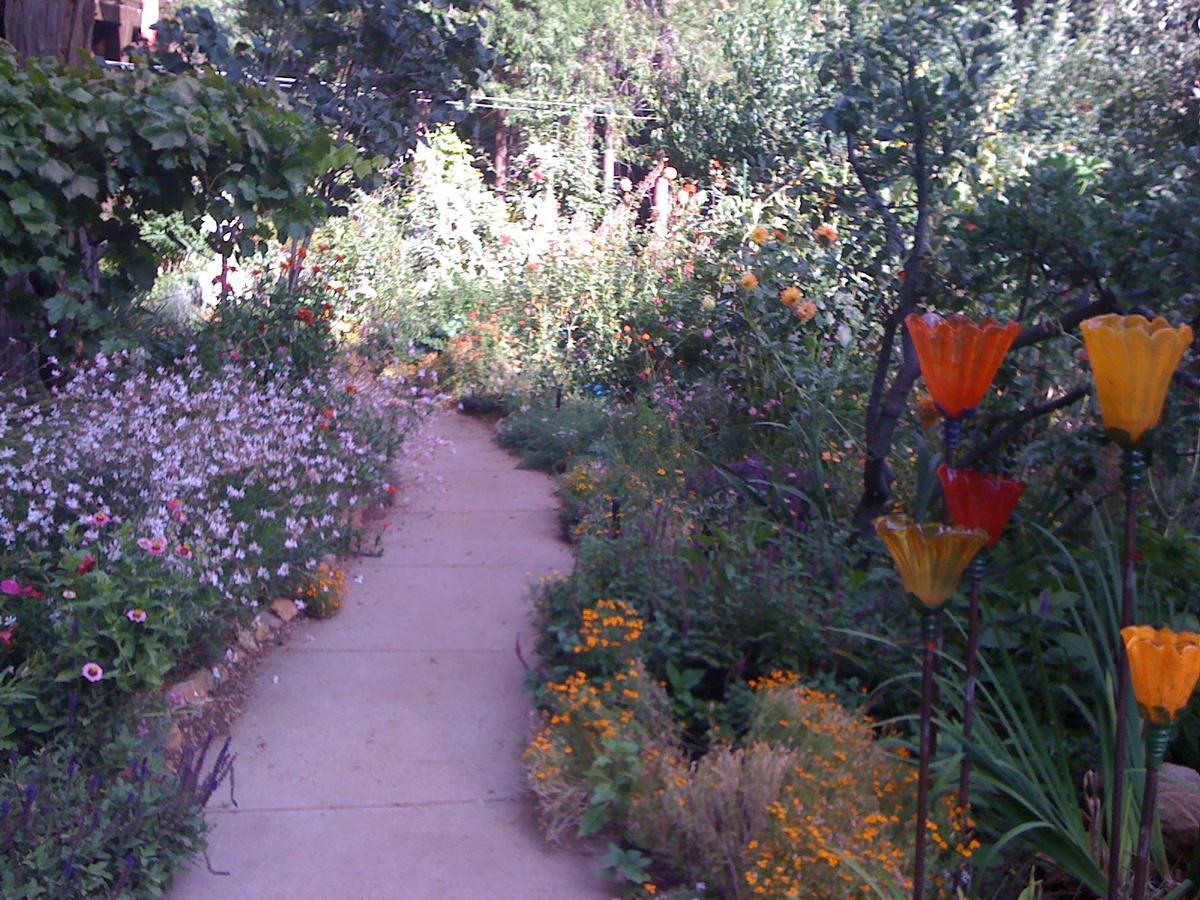 Harmony Ridge Lodge Nevada City Ngoại thất bức ảnh