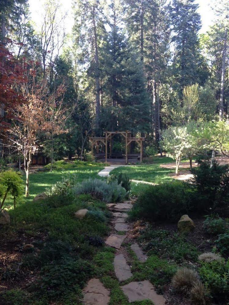 Harmony Ridge Lodge Nevada City Ngoại thất bức ảnh